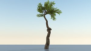 long tree 3D model