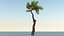Long Tree