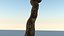 Long Tree