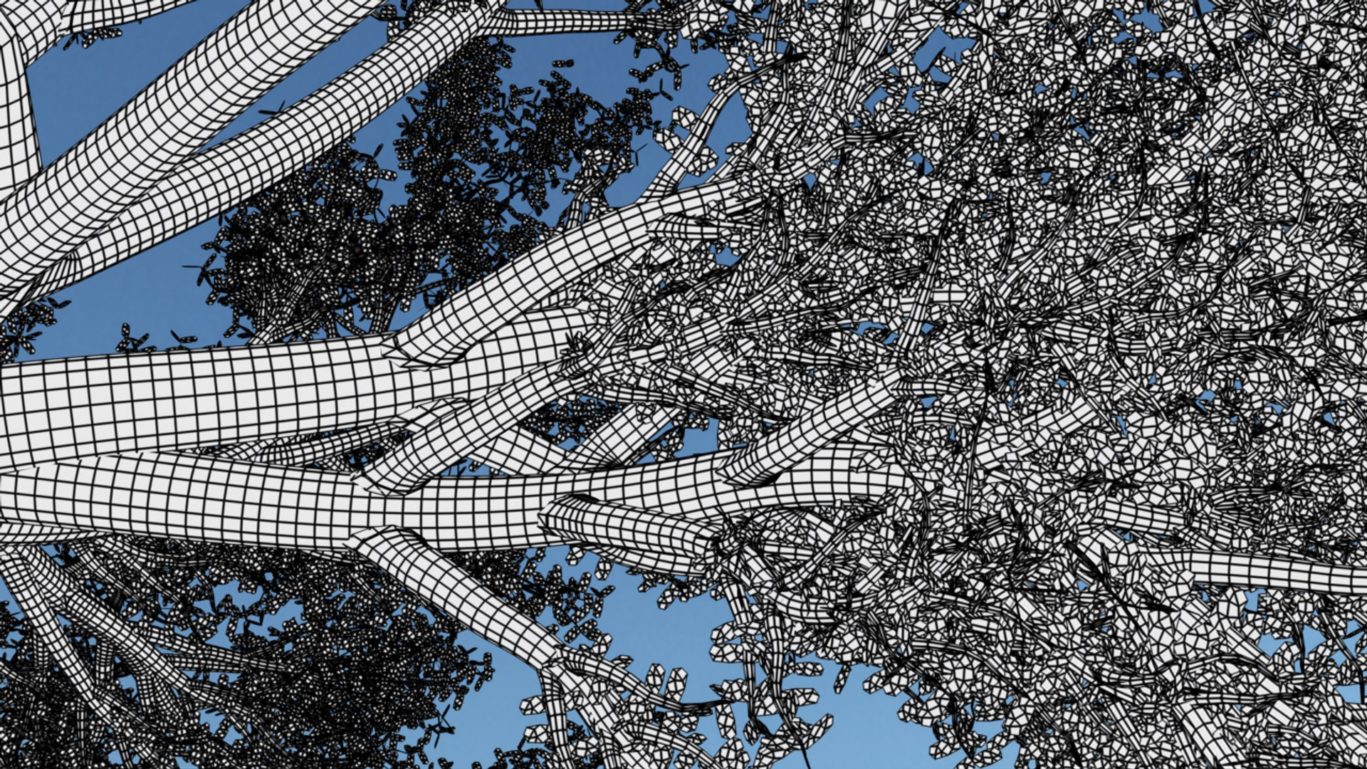 long tree 3D model https://p.turbosquid.com/ts-thumb/uJ/zhW4zX/hrjfaWmR/wire200000/png/1598504749/1920x1080/fit_q87/78e813944046584ef9f765e5f15ef78991a821b4/wire200000.jpg