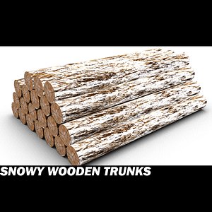 Snowy Wooden Trunks