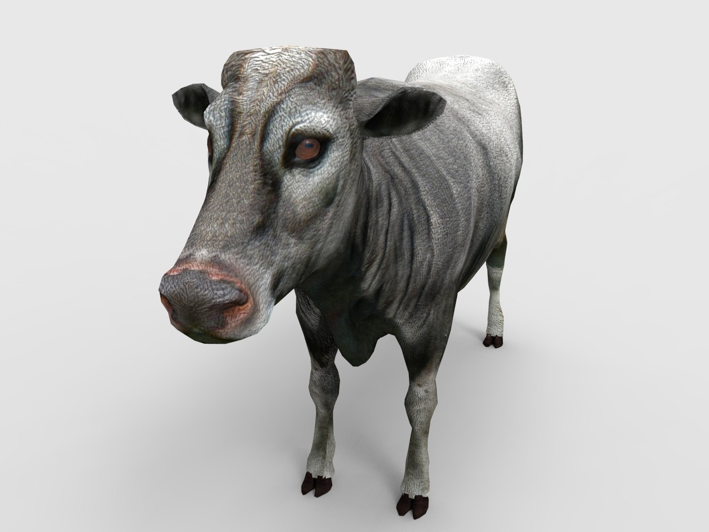 3D Cow Rigged Model - TurboSquid 1199586