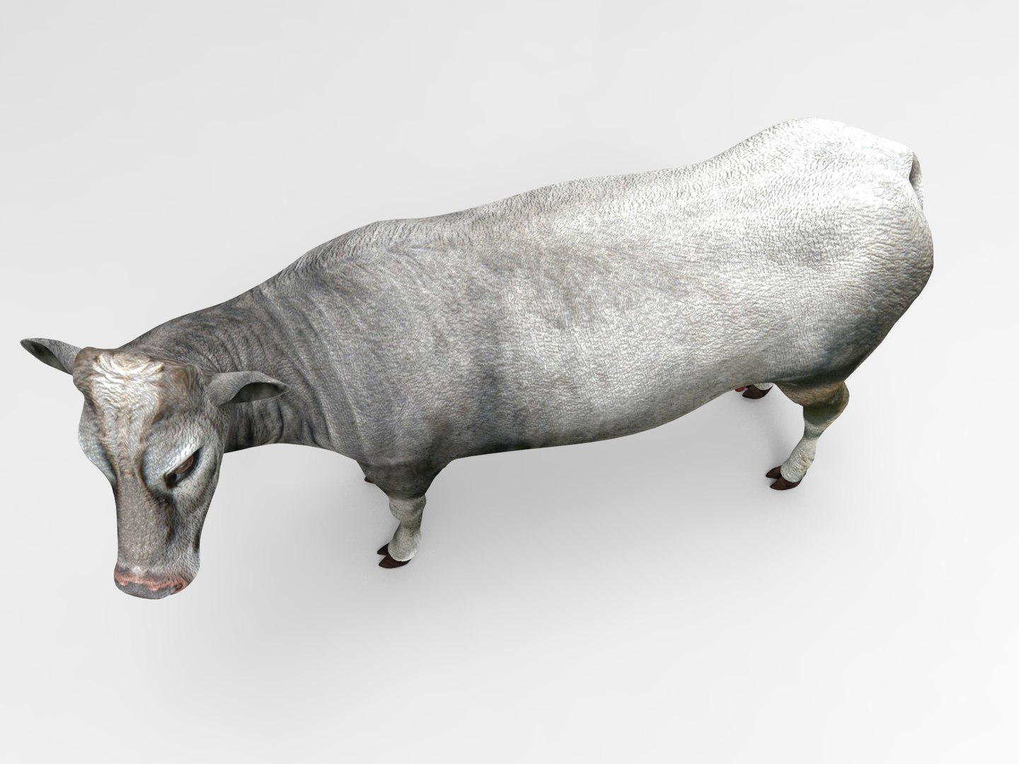 3D Cow Rigged Model - TurboSquid 1199586