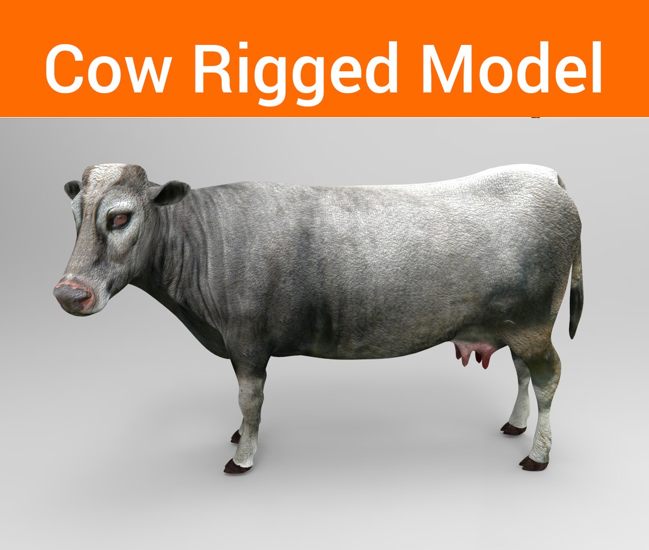 3D Cow Rigged Model - TurboSquid 1199586