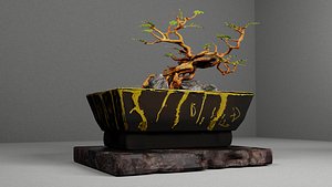 RPB Bonsai10
