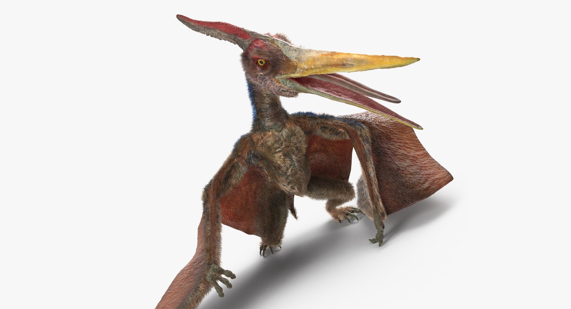 Pteranodon Standing Pose Fur 3D - TurboSquid 1387467