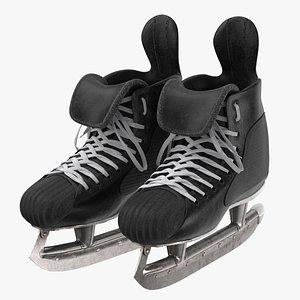 hockey skates 02 old model