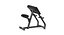 103 Models Gym  Fitness Weight Collection