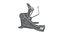 103 Models Gym  Fitness Weight Collection