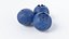 Cartoon Blueberry 3D model
