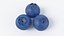 Cartoon Blueberry 3D model