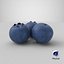 Cartoon Blueberry 3D model