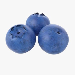 Cartoon Blueberry