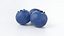 Cartoon Blueberry 3D model