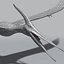 Pterosaur