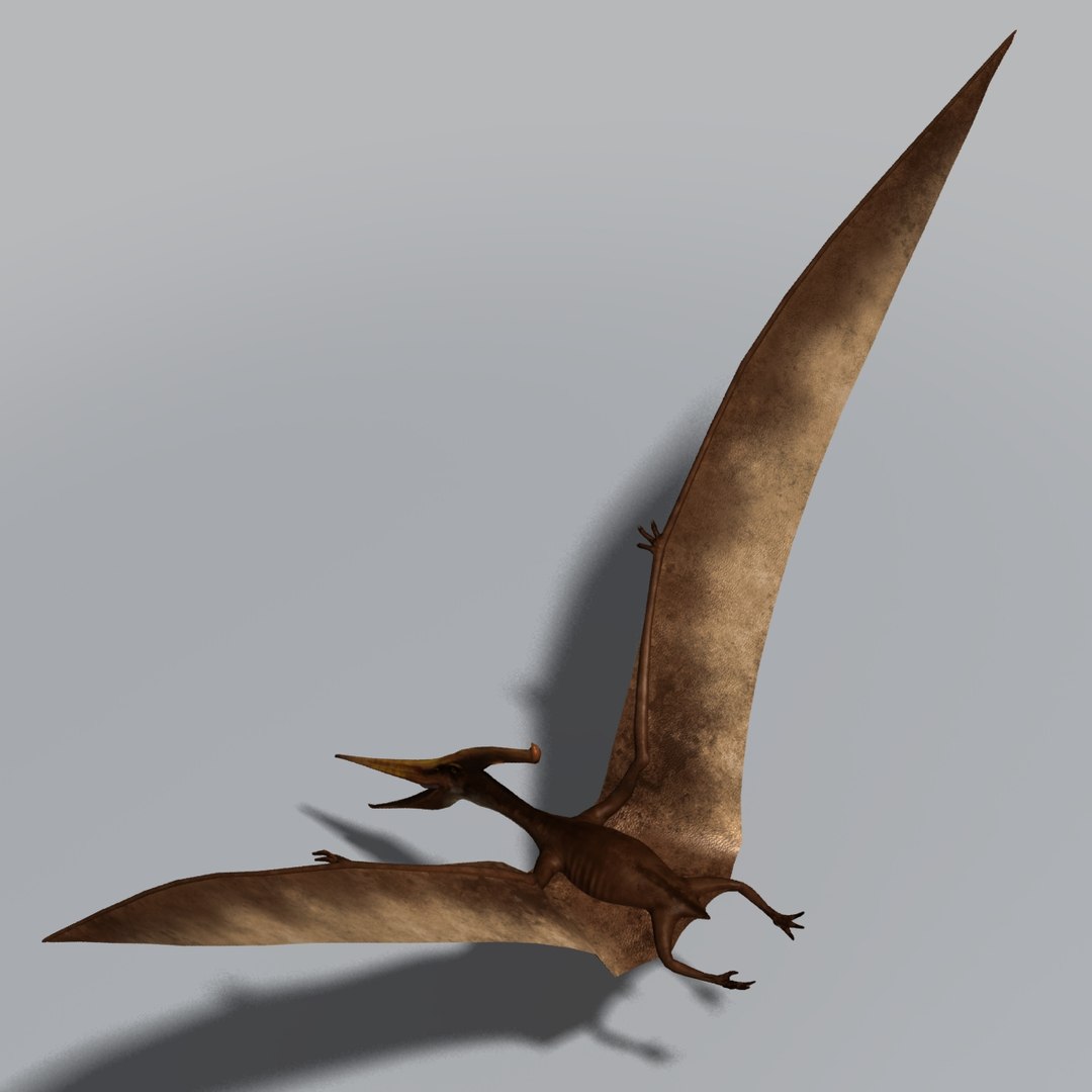 Max Pterosaur Wings Dinosaur