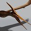 Pterosaur
