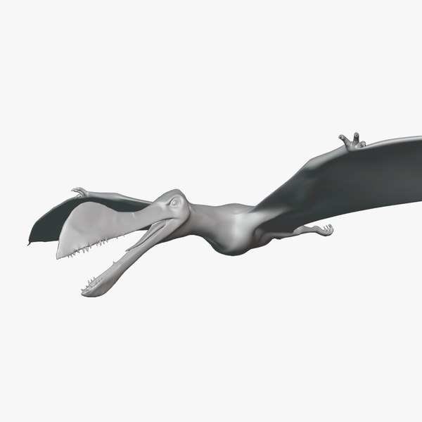 modèle 3D de Ornithocheirus Basemesh Low Poly - TurboSquid 2107884