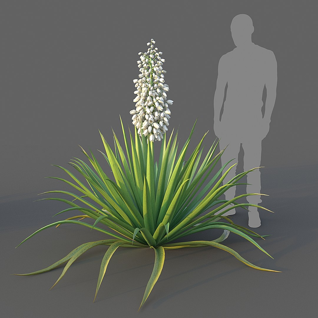 tree nature 3D https://p.turbosquid.com/ts-thumb/uK/wYbwzu/6MGVWzMi/006/jpg/1598305081/1920x1080/fit_q87/3e7c87f4feb12f000552663e8352693c80b4a6cd/006.jpg