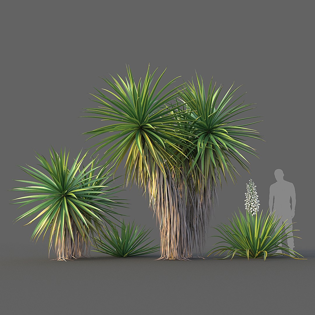 tree nature 3D https://p.turbosquid.com/ts-thumb/uK/wYbwzu/Nj0ge0Gb/002/jpg/1598304973/1920x1080/fit_q87/7067de1e2111986db70be9e8d71c007833f8cbe3/002.jpg