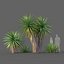 Yucca Set