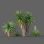 Yucca Set