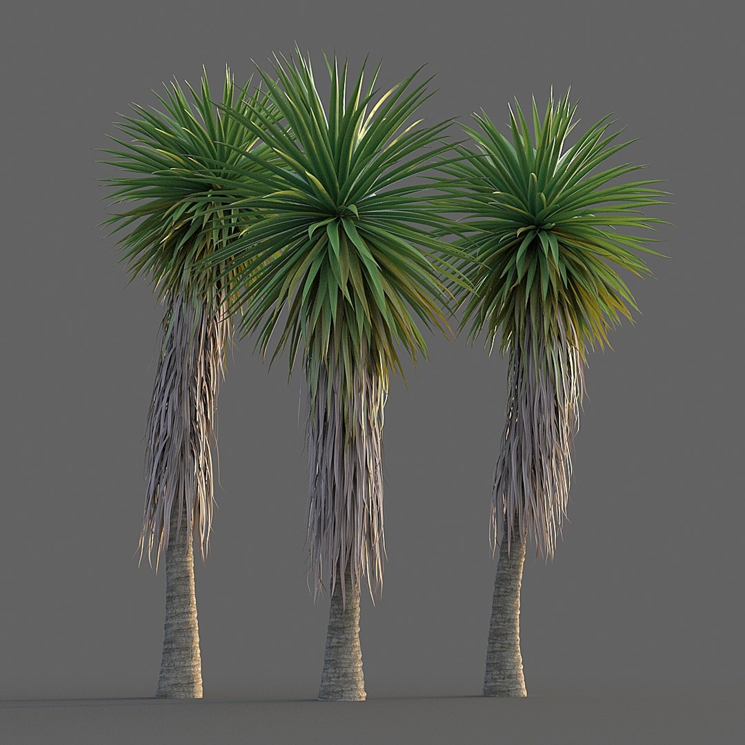 tree nature 3D https://p.turbosquid.com/ts-thumb/uK/wYbwzu/SfiIEJPt/005/jpg/1598305014/1920x1080/fit_q87/6899046ac5f033f7ee7b02af3f181adf7059fd3b/005.jpg