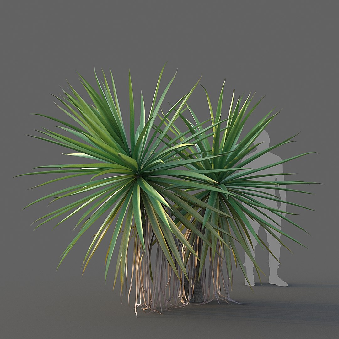 tree nature 3D https://p.turbosquid.com/ts-thumb/uK/wYbwzu/z0AB9j8k/007/jpg/1598305097/1920x1080/fit_q87/3d1b9366aba53077045da7a6ecaf09a2dcd03ea9/007.jpg
