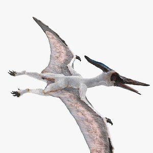 pterosaur pteranodon white fur model