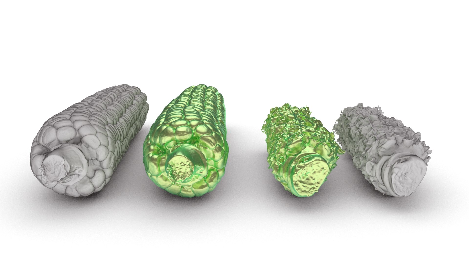 Boiled Corn Cob and Fully Eaten Corn Cob 3d scan model https://p.turbosquid.com/ts-thumb/uL/4StvFT/Fc/032boiledcorn_0002/jpg/1753022369/1920x1080/fit_q87/c8b0e81c0eec6a405789546a2ea24d837f101d2b/032boiledcorn_0002.jpg