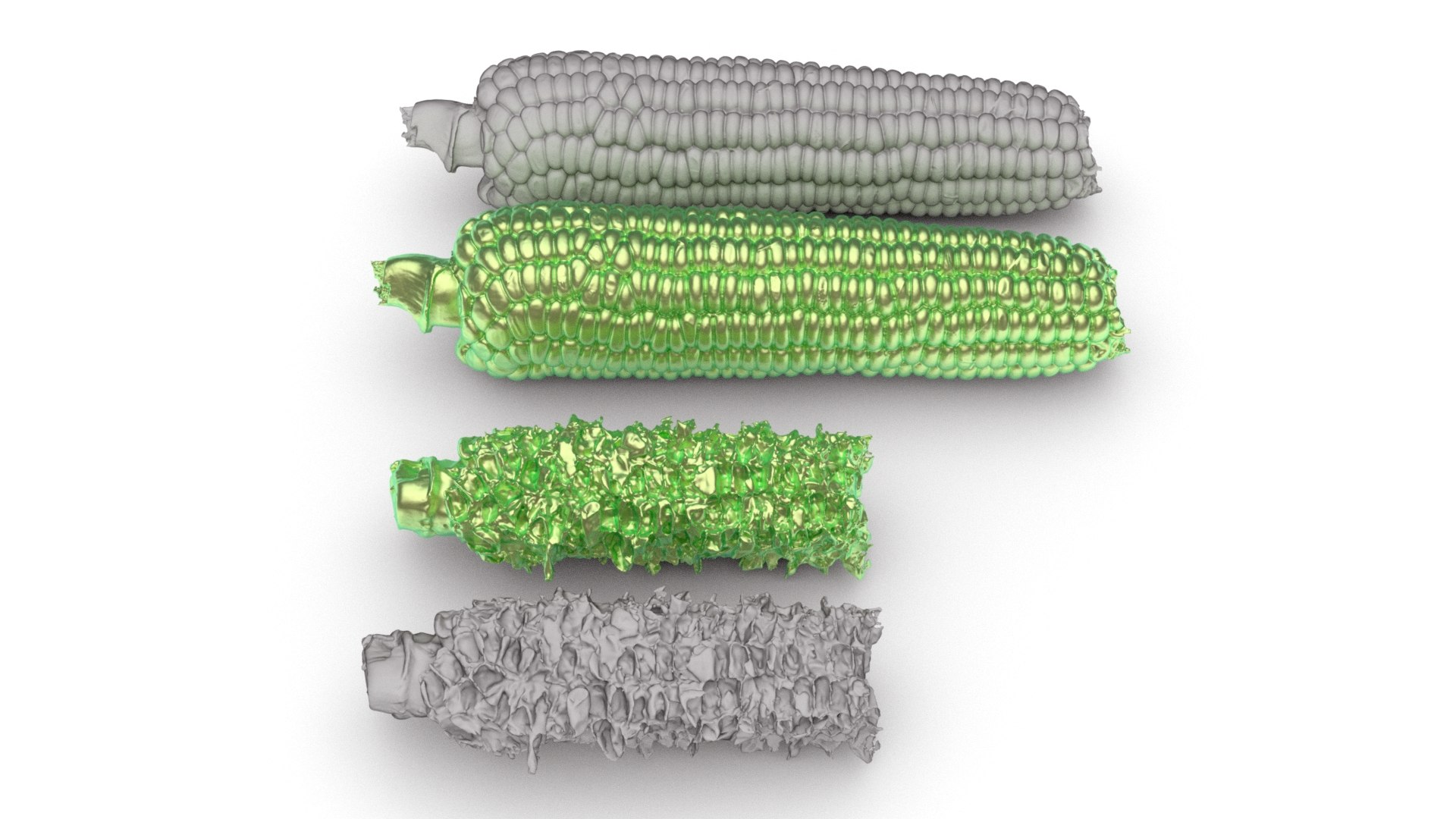 Boiled Corn Cob and Fully Eaten Corn Cob 3d scan model https://p.turbosquid.com/ts-thumb/uL/4StvFT/JH/032boiledcorn_0005/jpg/1753022371/1920x1080/fit_q87/401920bedf54b013fbffa9efa93c2217f92f6ad1/032boiledcorn_0005.jpg