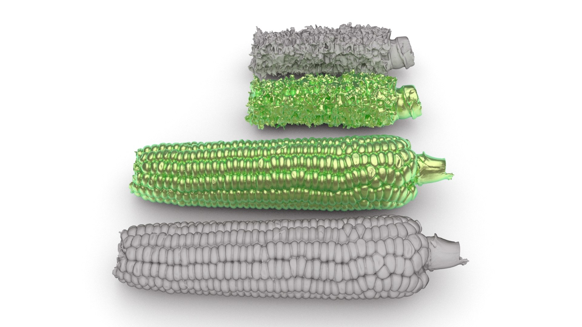 Boiled Corn Cob and Fully Eaten Corn Cob 3d scan model https://p.turbosquid.com/ts-thumb/uL/4StvFT/XJ/032boiledcorn_0006/jpg/1753022375/1920x1080/fit_q87/9e5a52abb54e7a4543e0625b48d9f5266647d107/032boiledcorn_0006.jpg