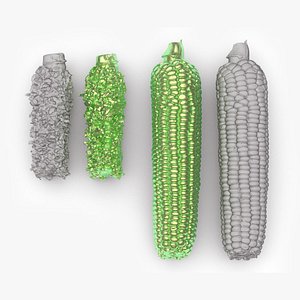 Boiled Corn Cob and Fully Eaten Corn Cob 3d scan model