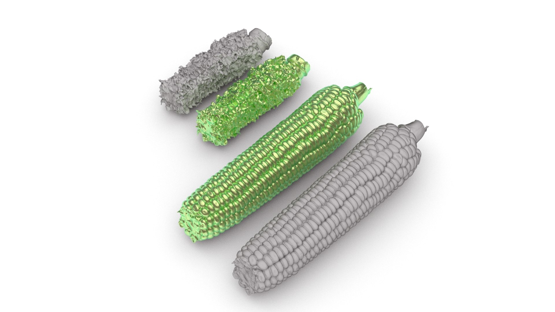 Boiled Corn Cob and Fully Eaten Corn Cob 3d scan model https://p.turbosquid.com/ts-thumb/uL/4StvFT/jV/032boiledcorn_0007/jpg/1753022372/1920x1080/fit_q87/c9ca8578cc2907d6f003619822d6843ce2773254/032boiledcorn_0007.jpg