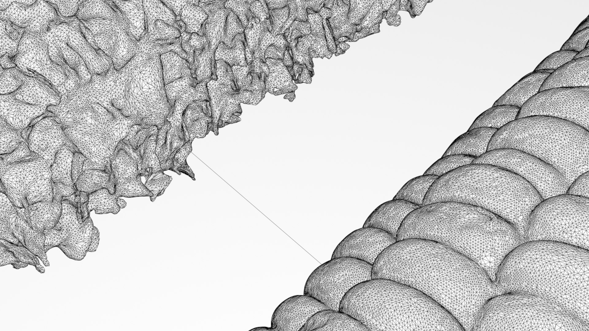 Boiled Corn Cob and Fully Eaten Corn Cob 3d scan model https://p.turbosquid.com/ts-thumb/uL/4StvFT/ti/032boiledcornw_0007/jpg/1753022368/1920x1080/fit_q87/e4eef68891987cad68f2b2e8425757199ea6f608/032boiledcornw_0007.jpg