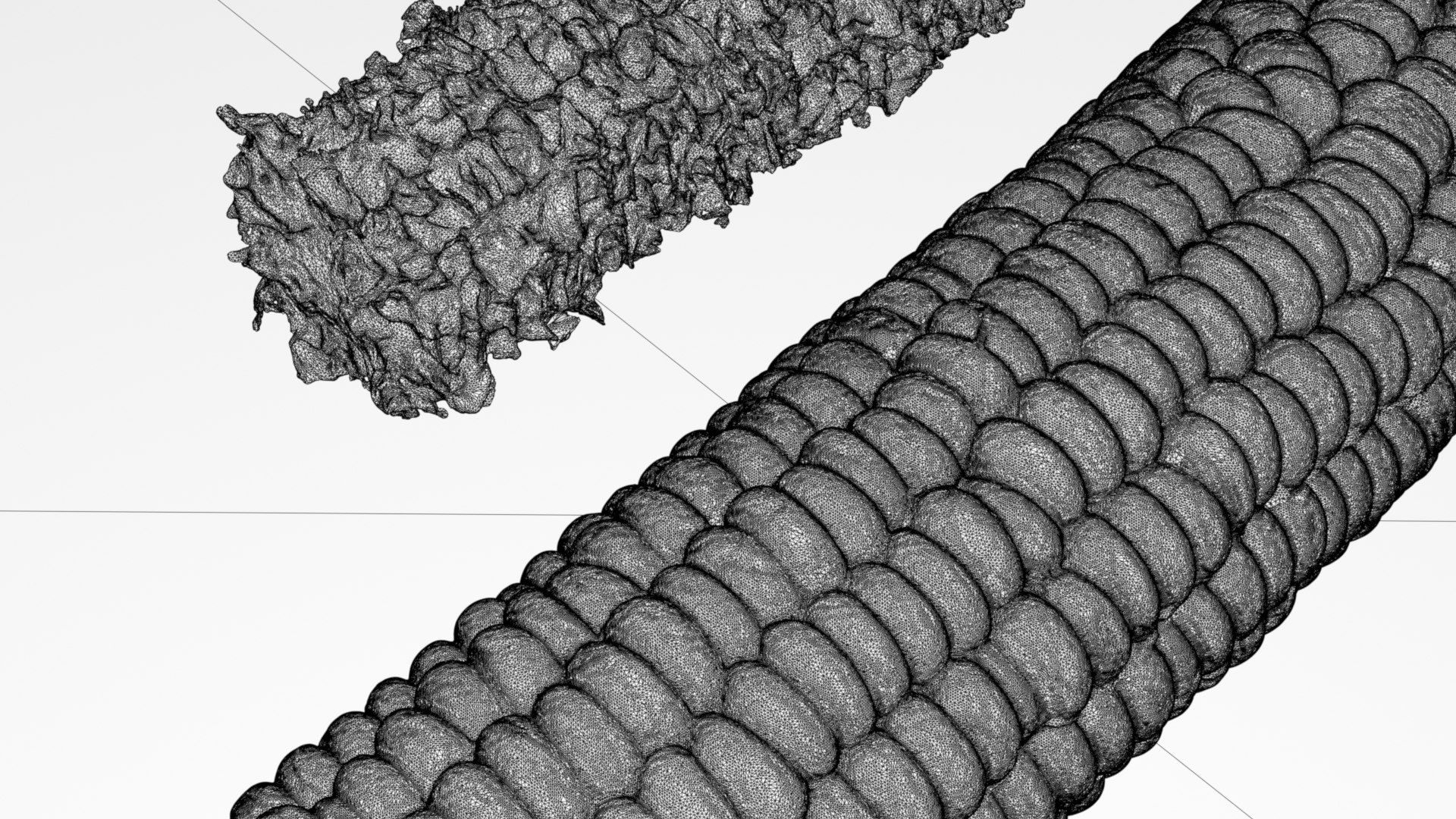Boiled Corn Cob and Fully Eaten Corn Cob 3d scan model https://p.turbosquid.com/ts-thumb/uL/4StvFT/xZ/032boiledcornw_0008/jpg/1753022368/1920x1080/fit_q87/f5a1058958c8b6bf40ba3b94d66de62e363c0204/032boiledcornw_0008.jpg