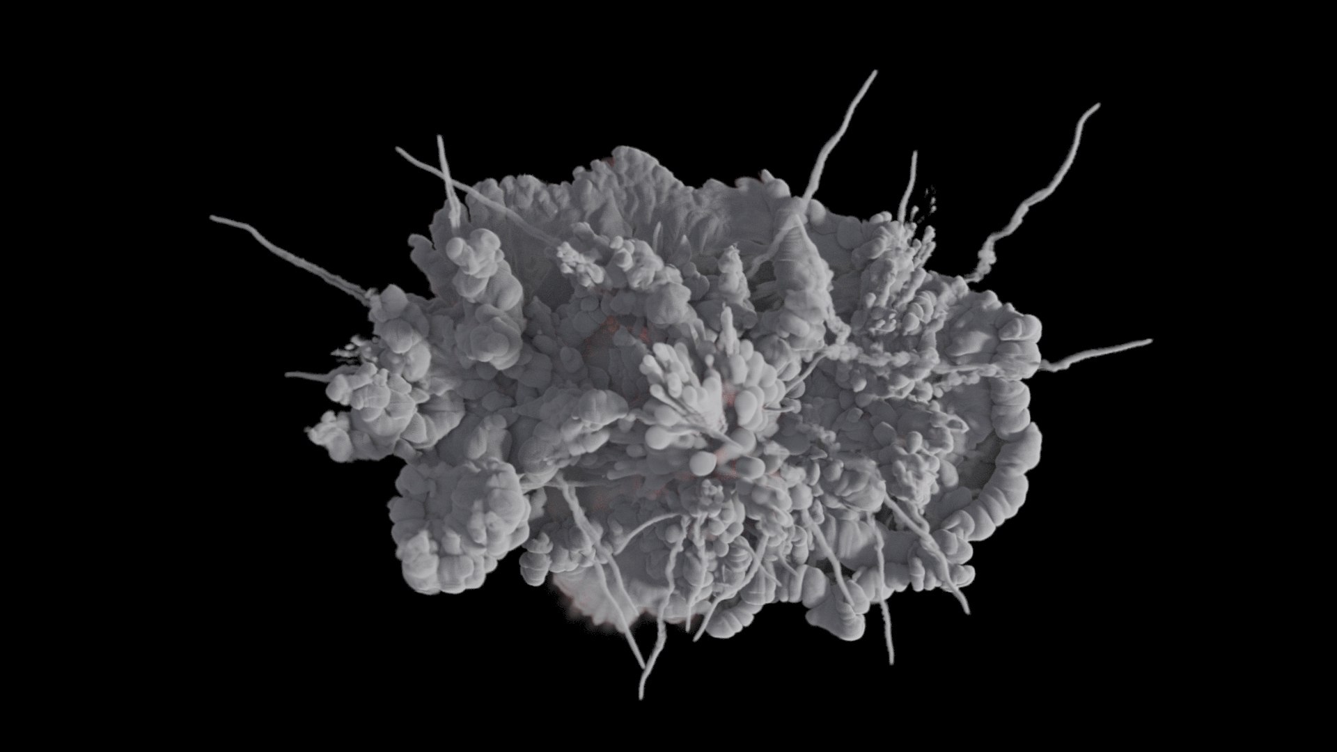 3D Carpet Bomb VDB model https://p.turbosquid.com/ts-thumb/uL/CYHQ8a/ua/preview5/jpg/1653642914/1920x1080/fit_q87/bf0adf305150efb1143c6e19544e207f2f1c7f90/preview5.jpg