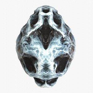 3D Frozen Egg 3