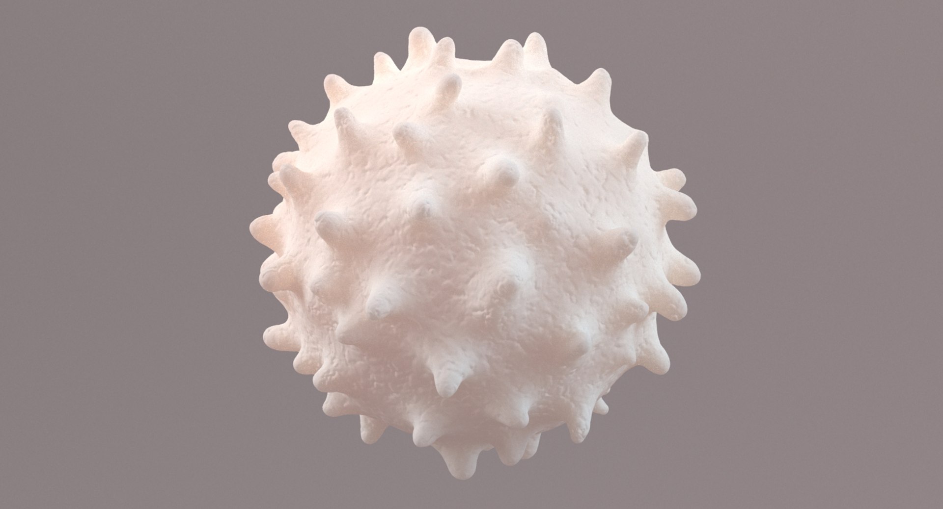 White Blood Cell 3D Model - TurboSquid 1317493
