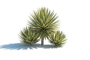 3d model piteira caribe