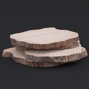 Stone VIII 3D model