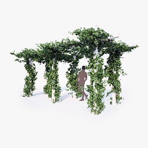 English Ivy Collection 1