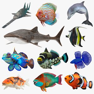 Fishes Collection 5
