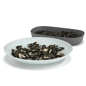 sunflower seeds1 3D model