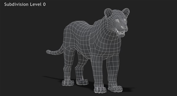 3d lioness lion rigging animation