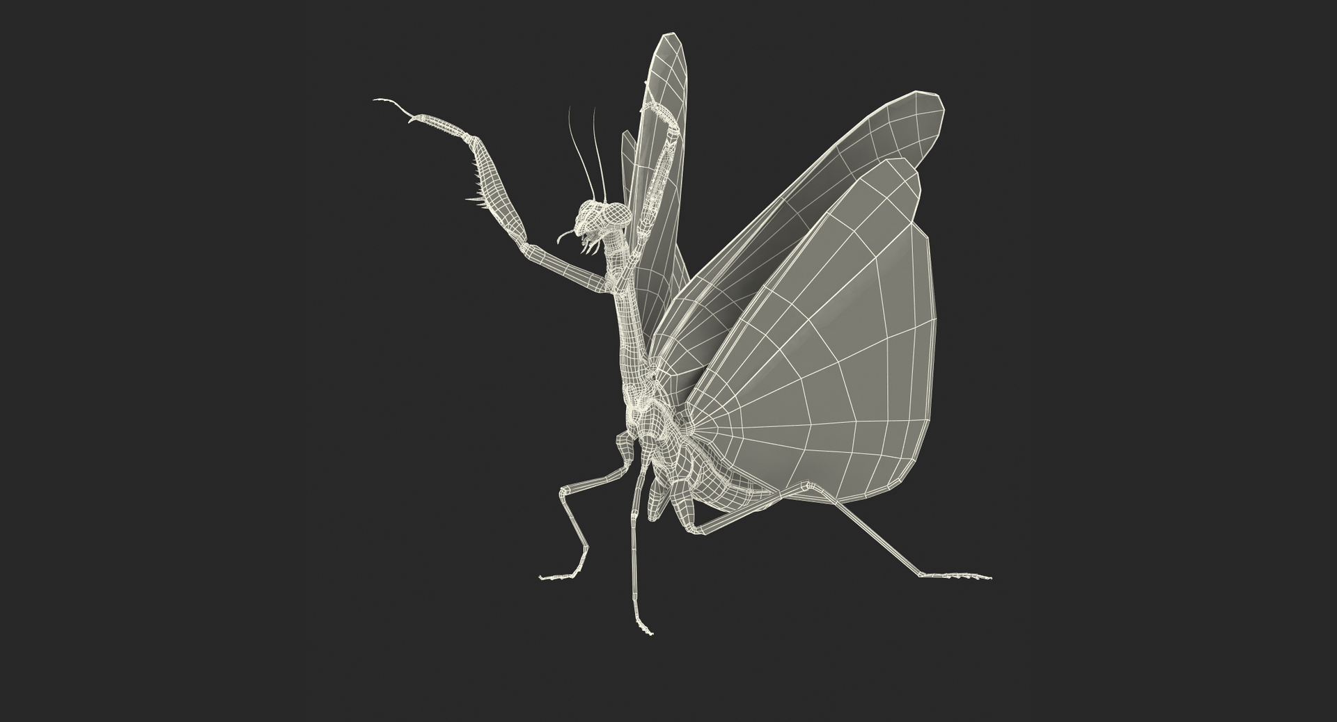 3D Praying Mantis Model - TurboSquid 1263367