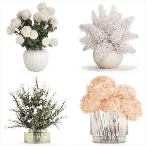 Collection white realistic bouquets of hydrangea 617 3D model