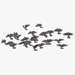 flock flying medium 02 3D