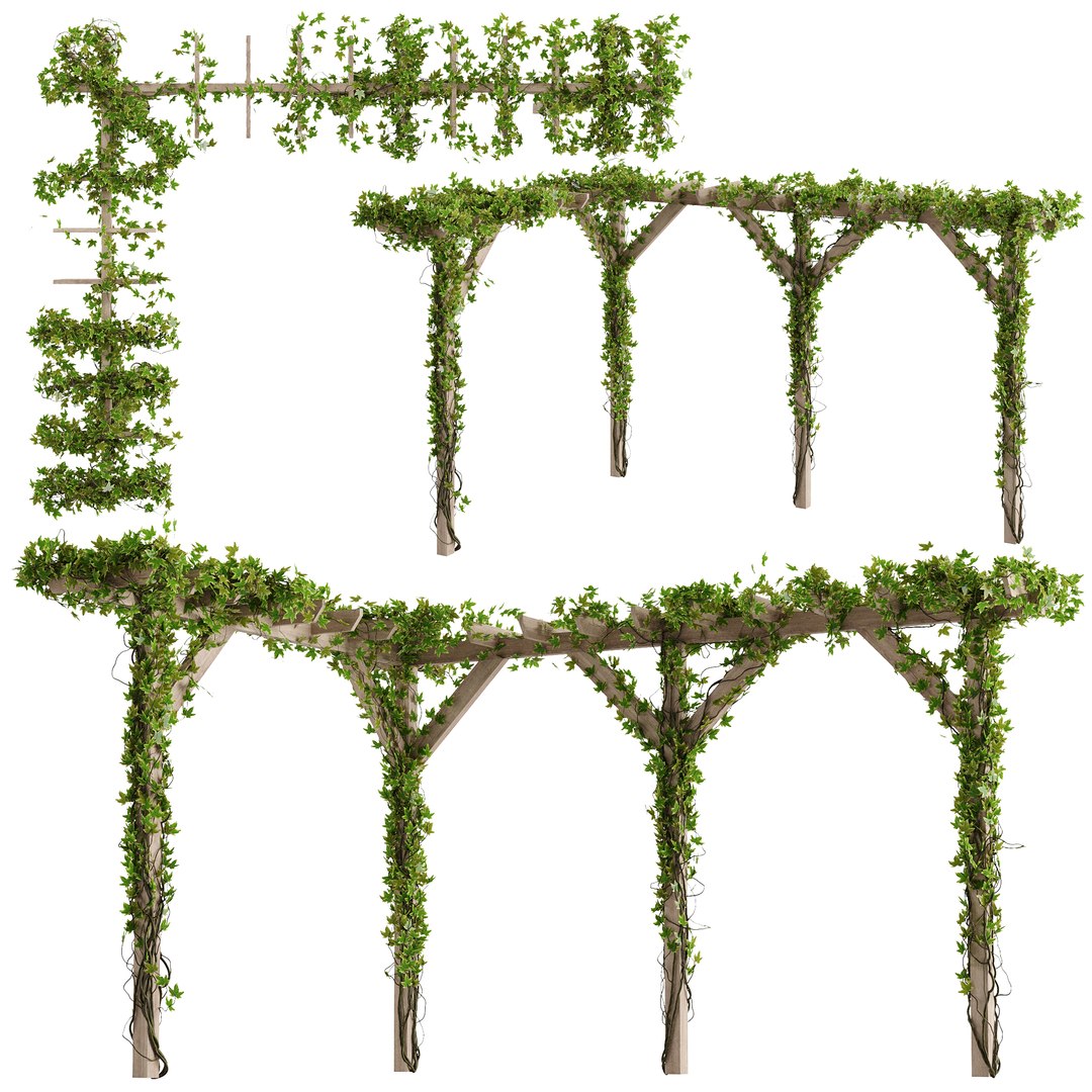 Pergola With Ivy V8 Model TurboSquid 1972910