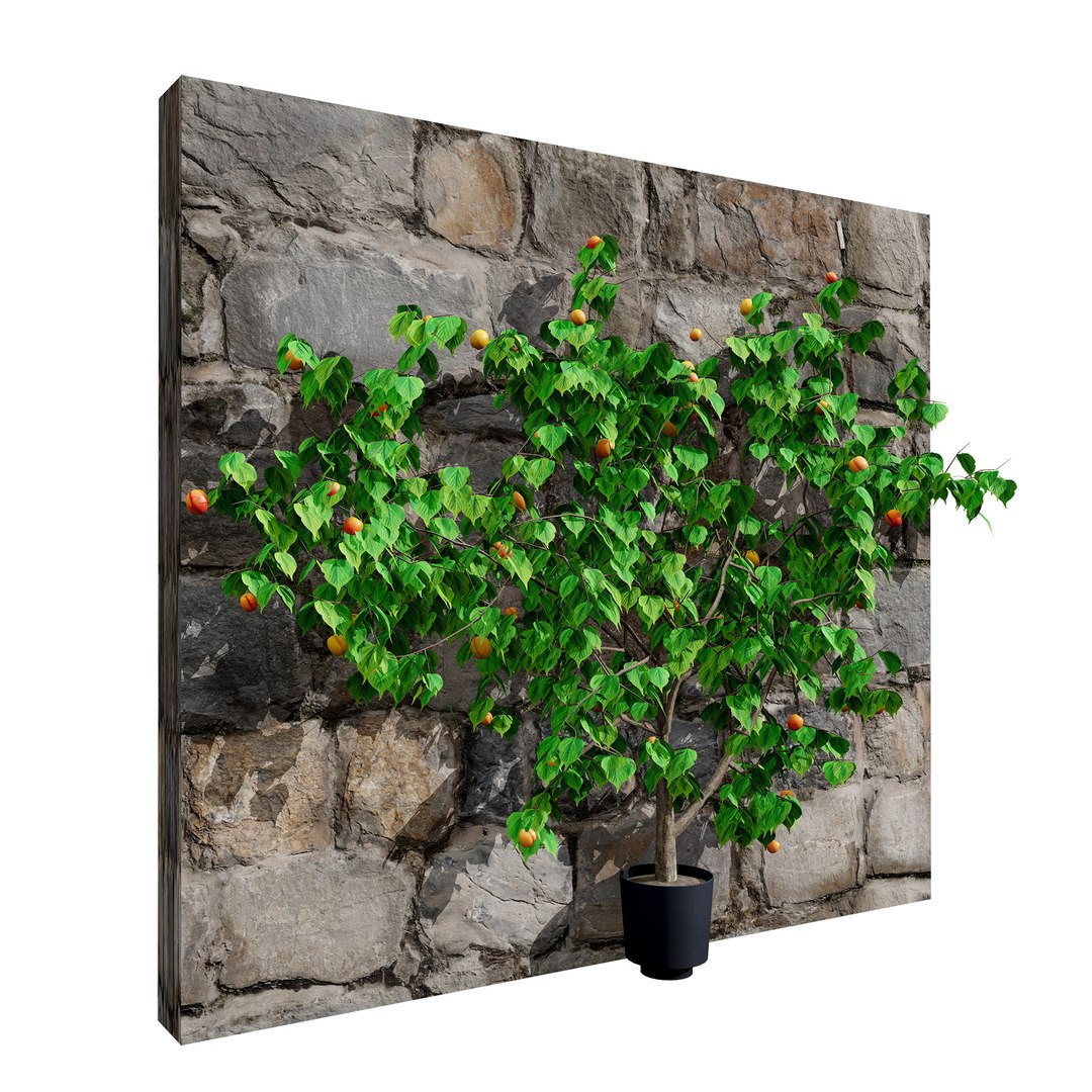 UK Trees Plants  Hedgerow 3D Model Pack 3D model https://p.turbosquid.com/ts-thumb/uM/3IpVfn/HG/britishapricottree3/jpg/1761542316/1920x1080/fit_q87/478f595cc6da8d495bba740d13f9b330558dec03/britishapricottree3.jpg